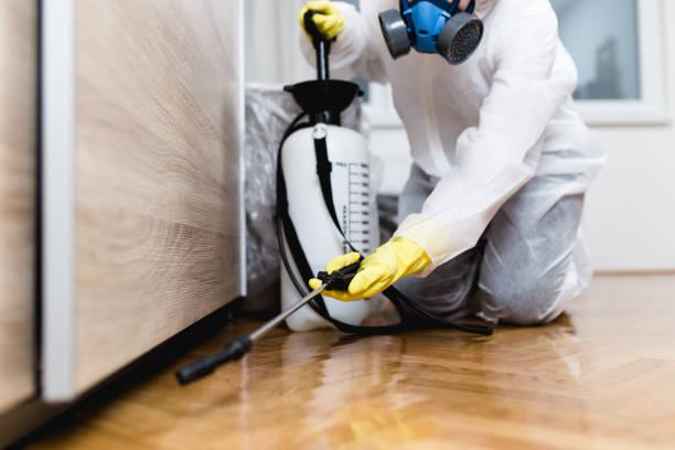 Flea Control Services in Gate City, VA
