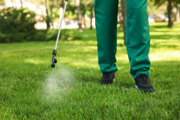 Best Pest Inspection Near Me  in Gate City, VA