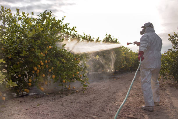 Best Residential Pest Control  in Gate City, VA