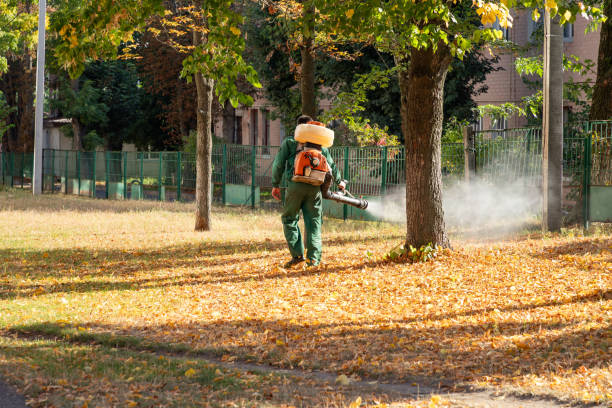 Best Bed Bug Extermination  in Gate City, VA