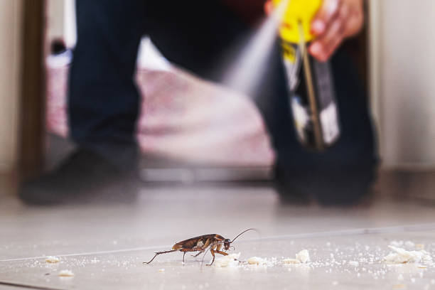 Pest Prevention Services in Gate City, VA